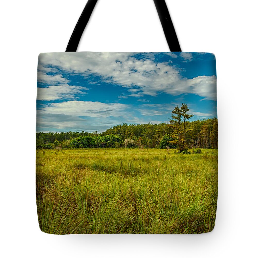 Florida Tote Bag featuring the photograph Florida SawGrass Prairie II by George Buxbaum