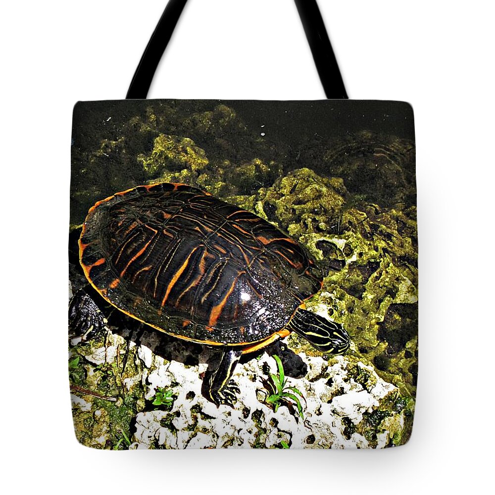 Turtle Tote Bag featuring the photograph Florida Turtle by MTBobbins Photography
