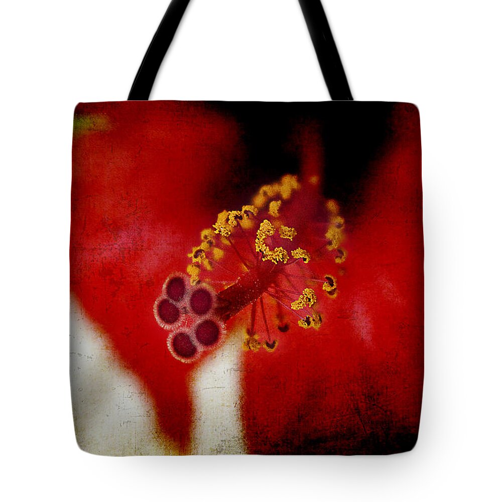 Flower Tote Bag featuring the photograph Flower Abstract by Milena Ilieva
