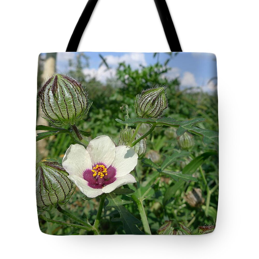 Orchard Tote Bag featuring the photograph Flower of an Hour by Richard Reeve