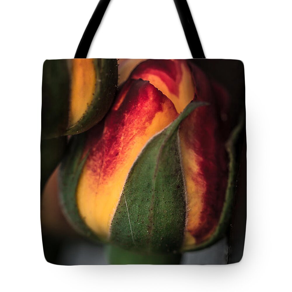 Roses Tote Bag featuring the photograph Flower Of Night by Edgar Laureano