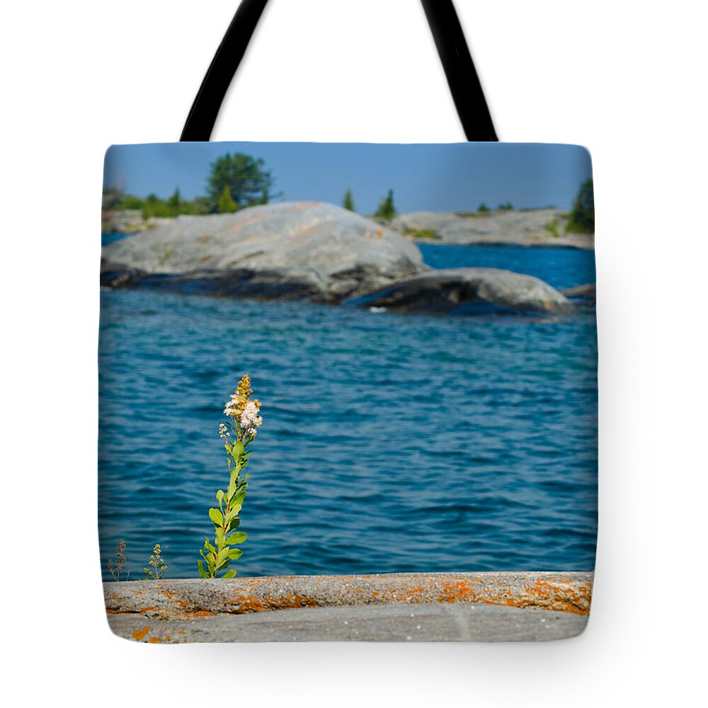 Rocks Tote Bag featuring the photograph Flower on a rocky shore by Les Palenik