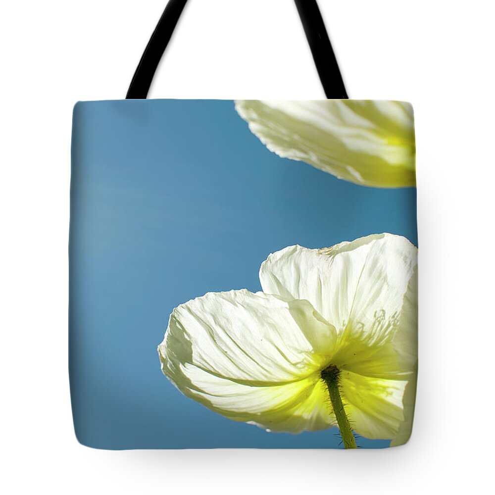 Clear Sky Tote Bag featuring the photograph Flower Pedels by Pete Starman