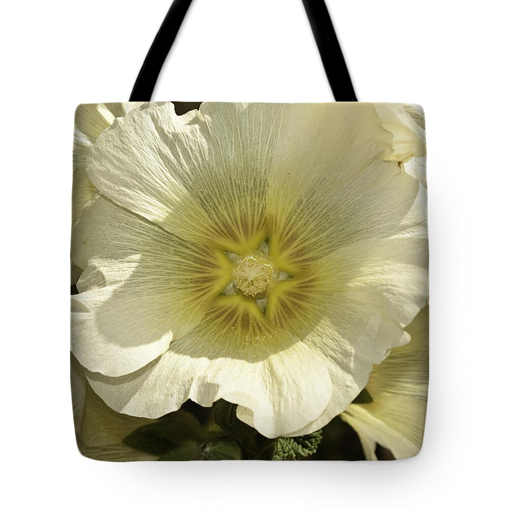 Beautiful Flower Tote Bag featuring the photograph Flower petals of a white flower by Ashish Agarwal