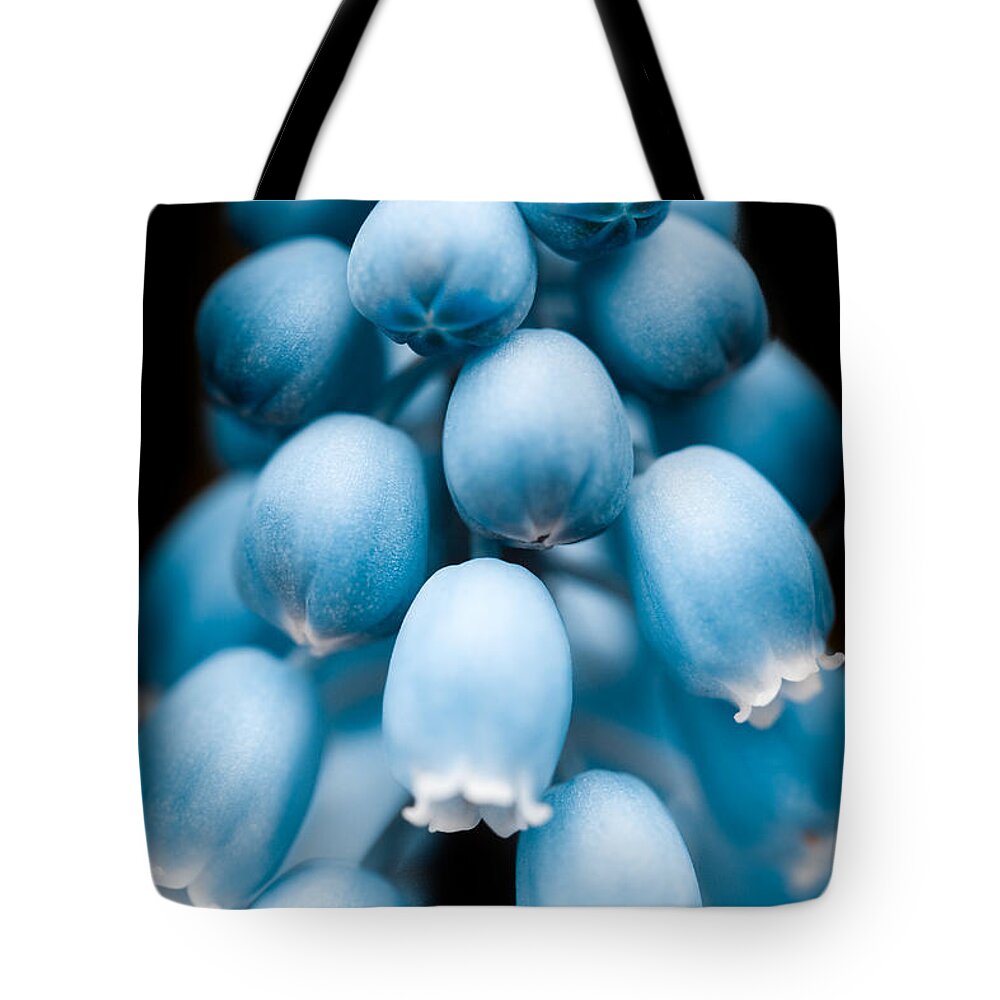 Blue Bells Tote Bag featuring the photograph Flower Pods by Shane Holsclaw