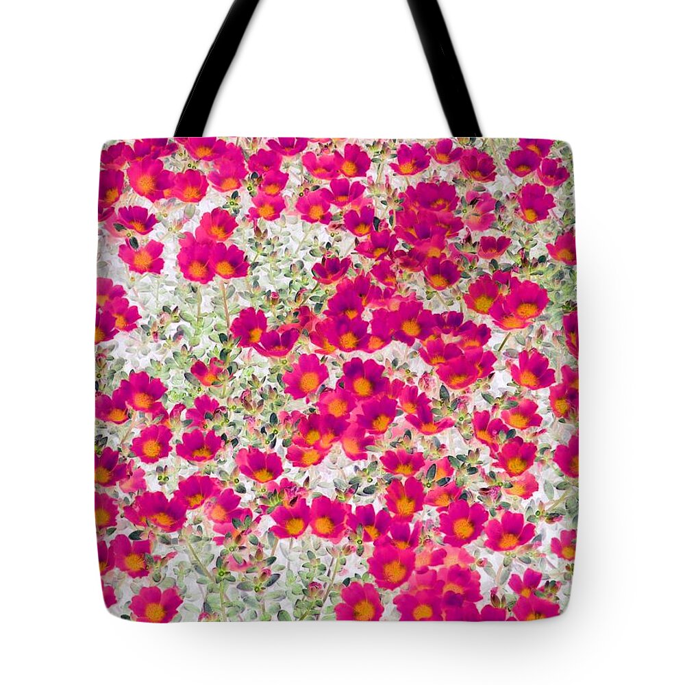 Flower Tote Bag featuring the photograph Flower Power 1085 by Pamela Critchlow
