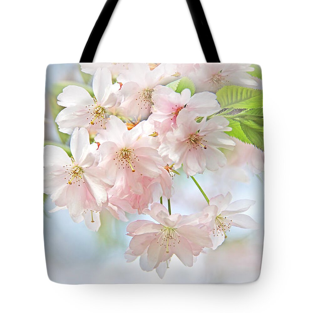 Cherry Tote Bag featuring the photograph Flowering Cherry Tree Blossoms by Jennie Marie Schell