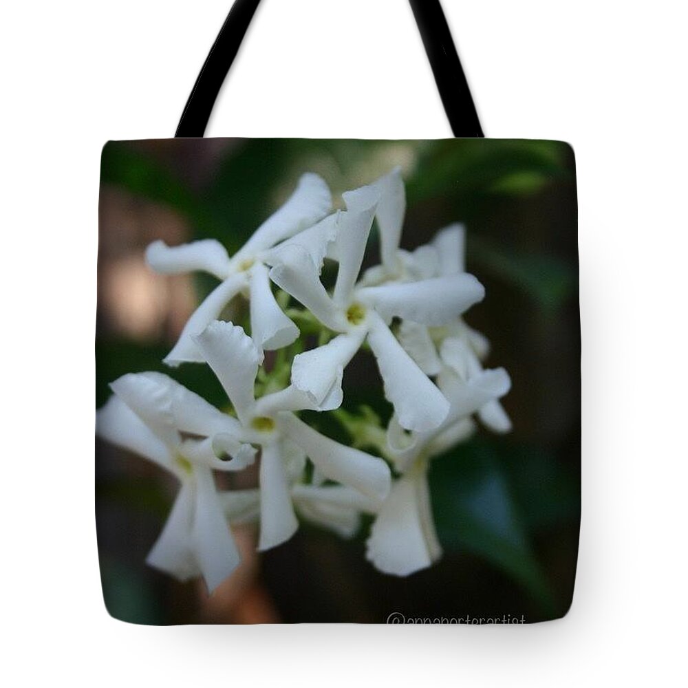 Nothingisordinary_ Tote Bag featuring the photograph Flowering Jasmine In My Garden. Photo by Anna Porter