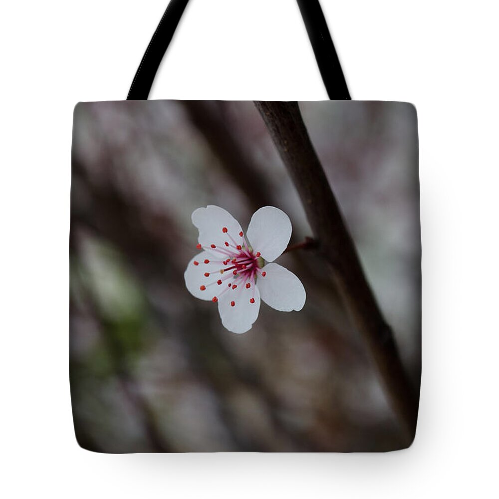 Flower Tote Bag featuring the photograph Flowering Plum 3 by Michael Arend