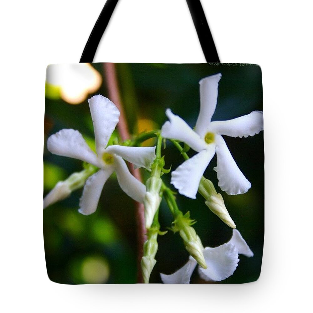 Flowers Tote Bag featuring the photograph Flowering White Jasmine by Anna Porter