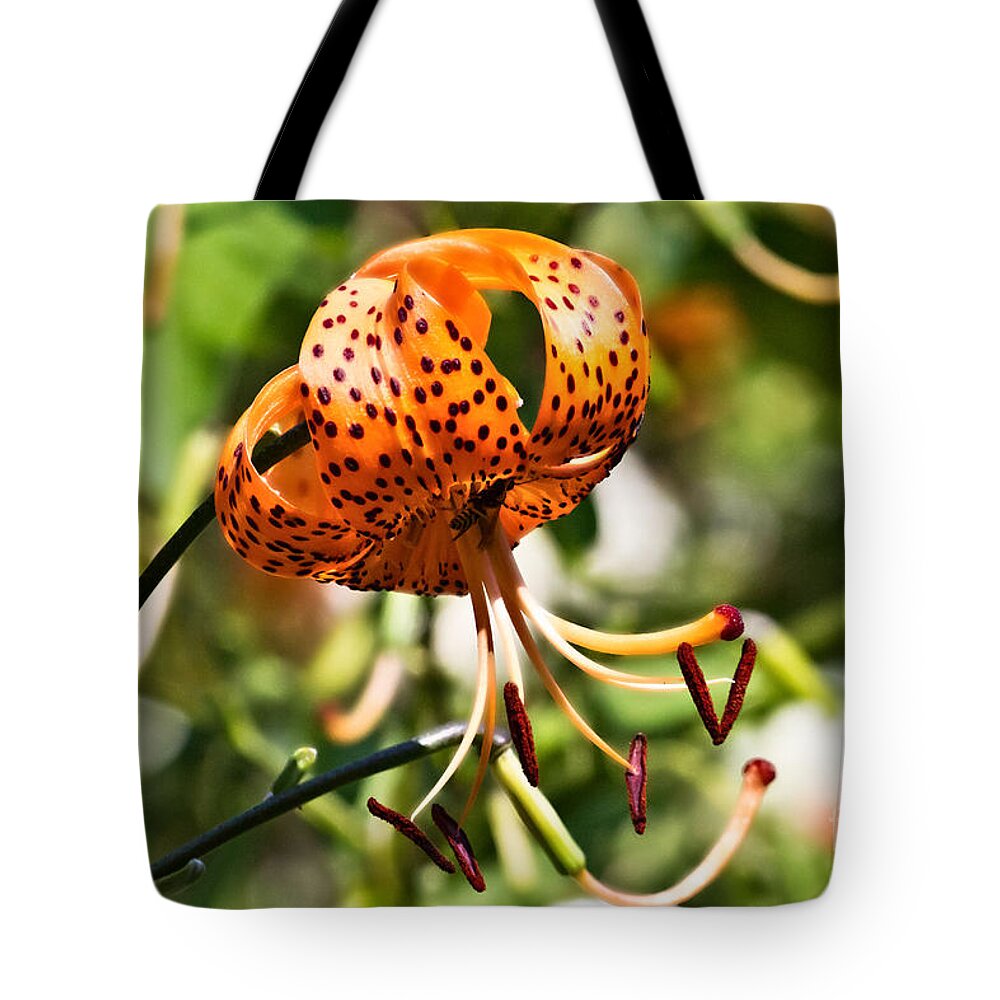 Wisconsin Tote Bag featuring the photograph Flowers 002 by Ms Judi