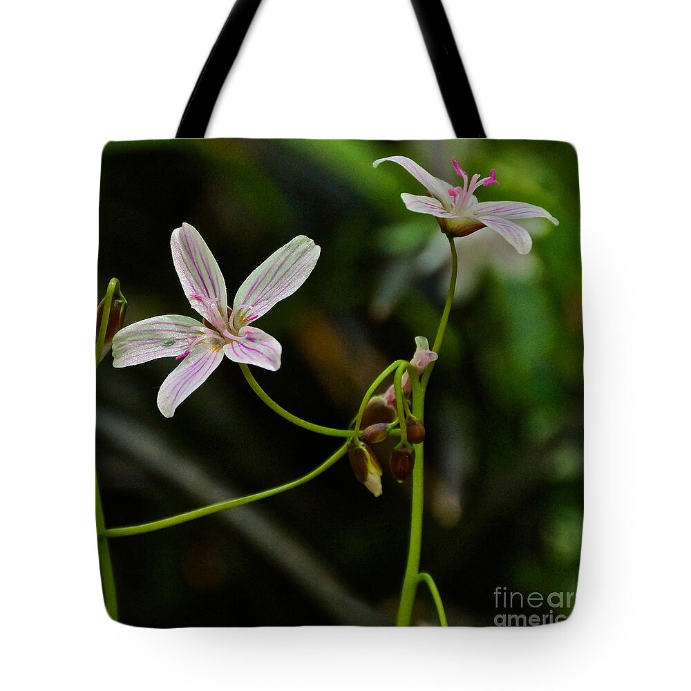Spring Beauties Tote Bag featuring the photograph Flowers Are Smiles by Byron Varvarigos