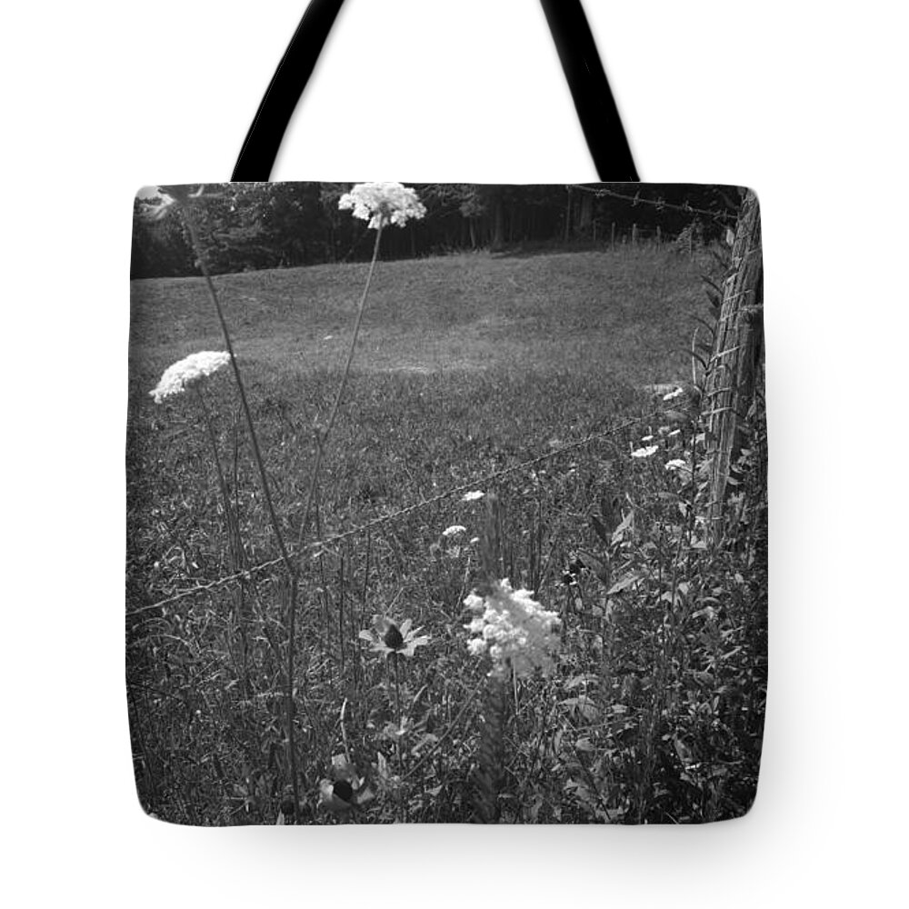 Kelly Hazel Tote Bag featuring the photograph Flowers by a Barbed Wire Fence by Kelly Hazel
