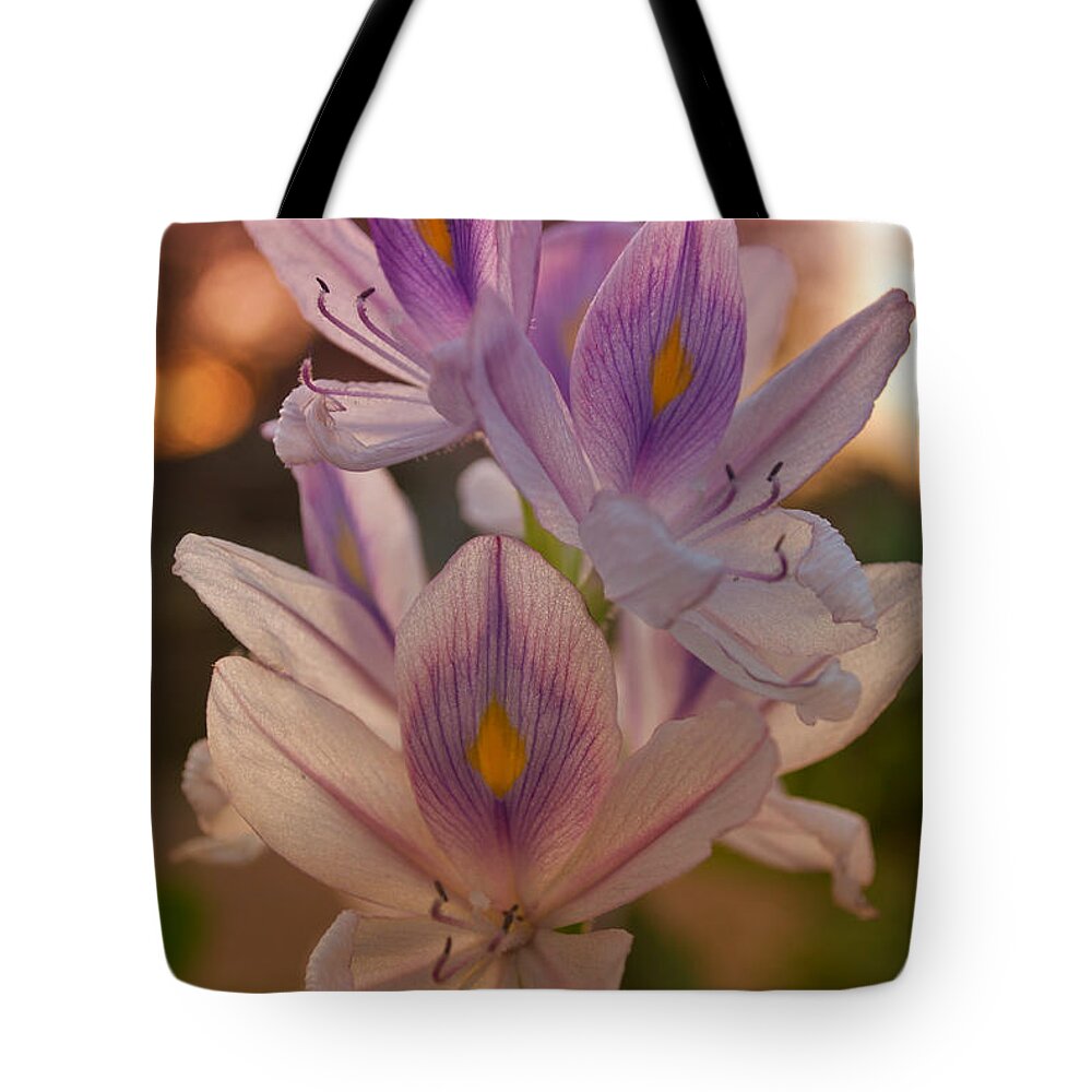 Winterpacht Tote Bag featuring the photograph Flowers in Indonesia by Miguel Winterpacht