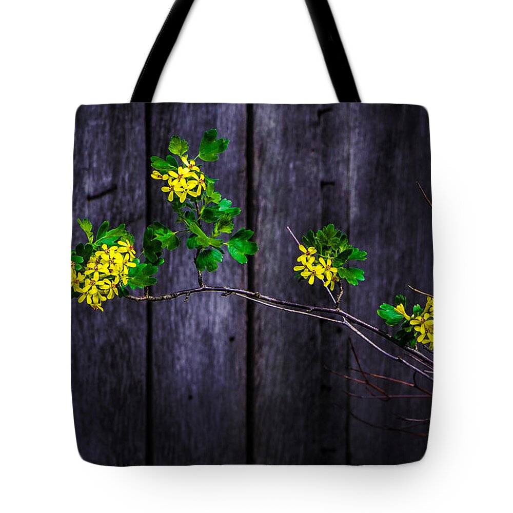 Barn Tote Bag featuring the photograph Flowers On Abandoned Farm House by Michael Arend