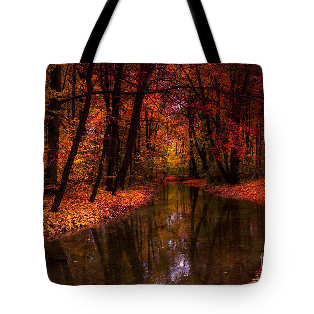Autumn Tote Bag featuring the photograph Flowing Through The Colors Of Fall by Hannes Cmarits
