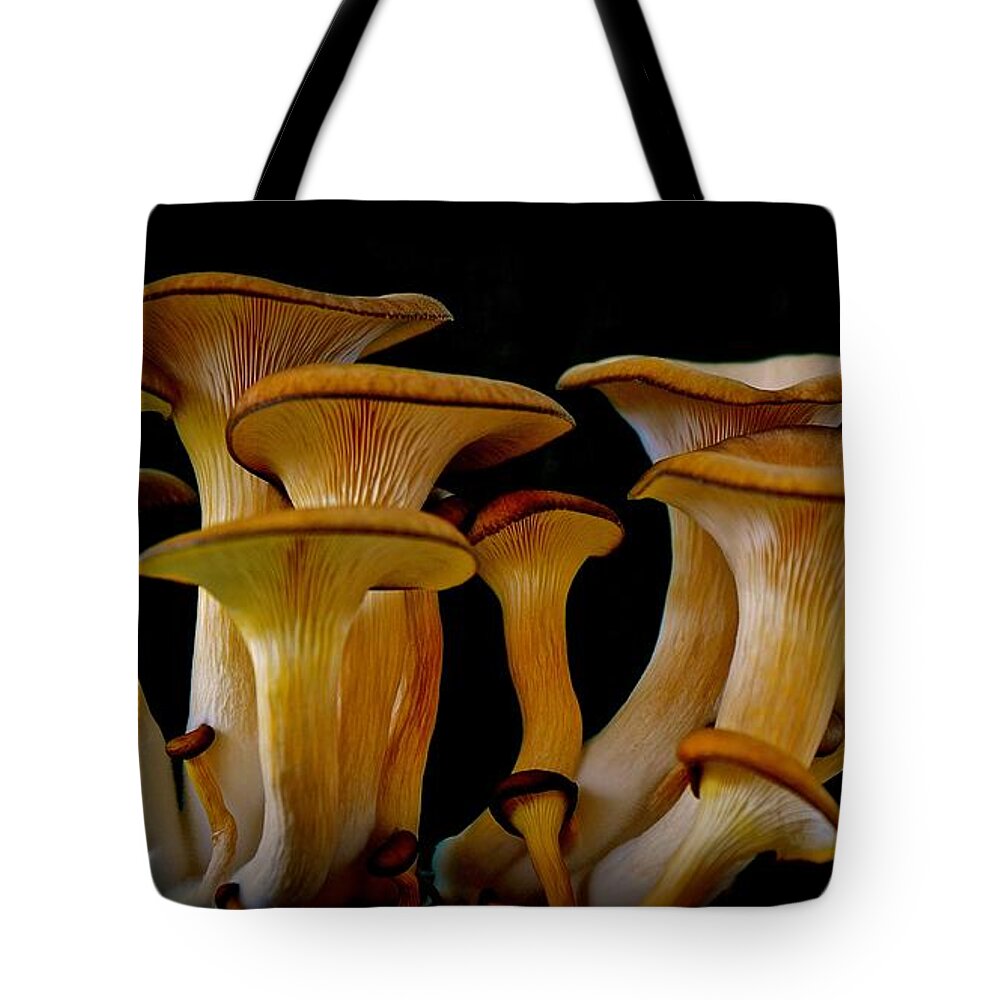 Oyster Mushrooms Tote Bag featuring the photograph Fluted clump by AnnaJo Vahle