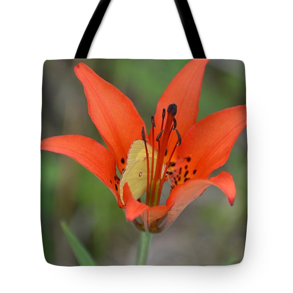 Butterfly Tote Bag featuring the photograph Flutterby Hiding Place by Lynellen Nielsen