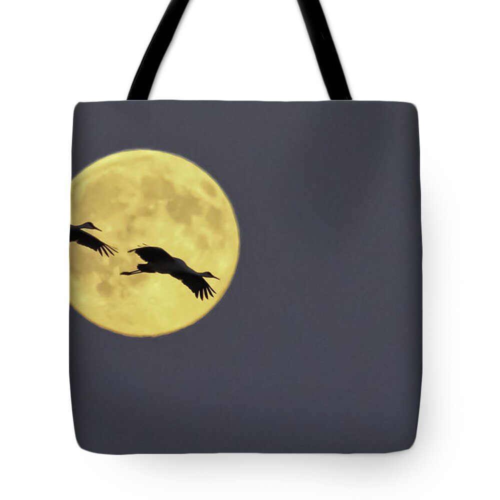 Sandhill Cranes Tote Bag featuring the photograph Moonlight Flight by Jan Killian
