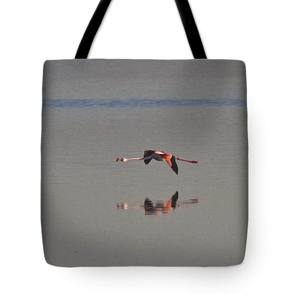 Heiko Tote Bag featuring the photograph Fly Fly Away My Pretty Flamingo by Heiko Koehrer-Wagner