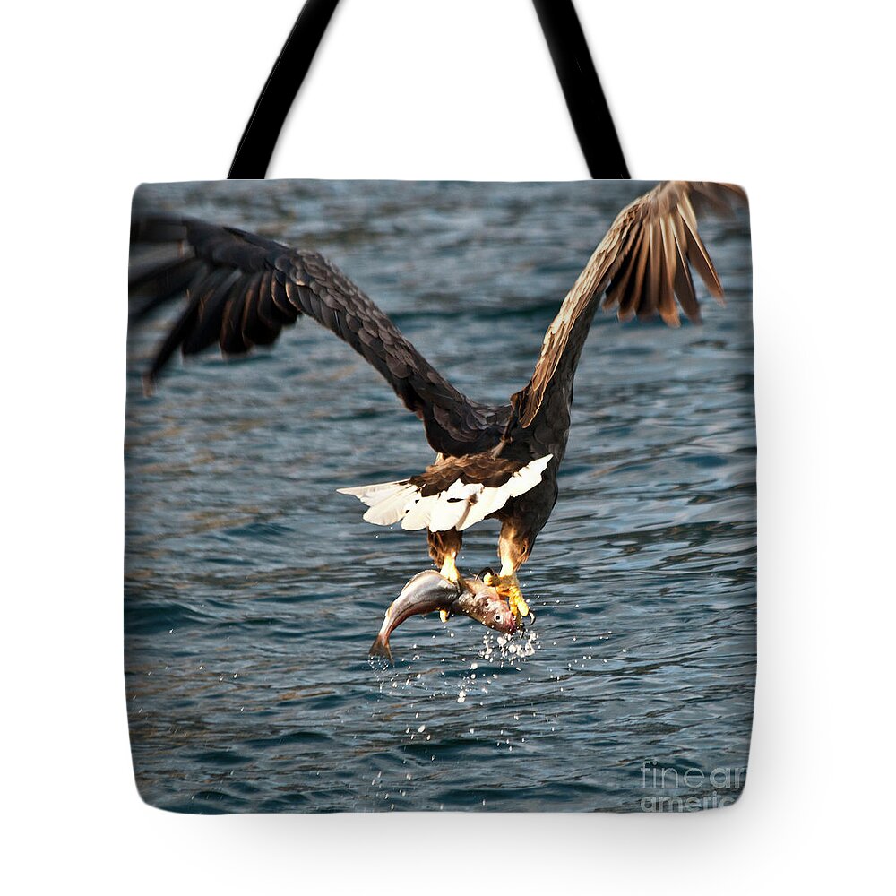 White_tailed Eagle Tote Bag featuring the photograph Flying European Sea Eagle 3 by Heiko Koehrer-Wagner