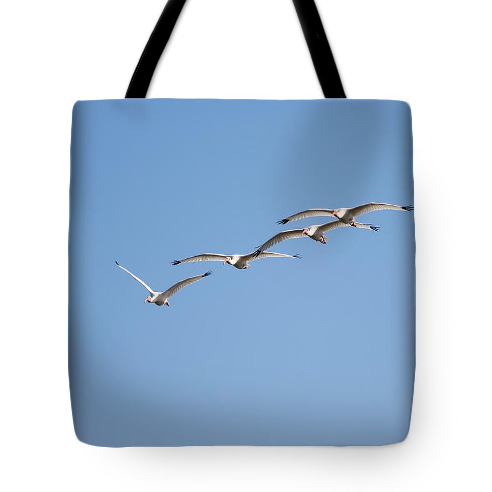Nature Tote Bag featuring the photograph Flying Formation by John M Bailey