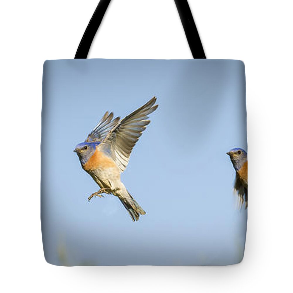 Birds Tote Bag featuring the photograph Flying by Jean Noren
