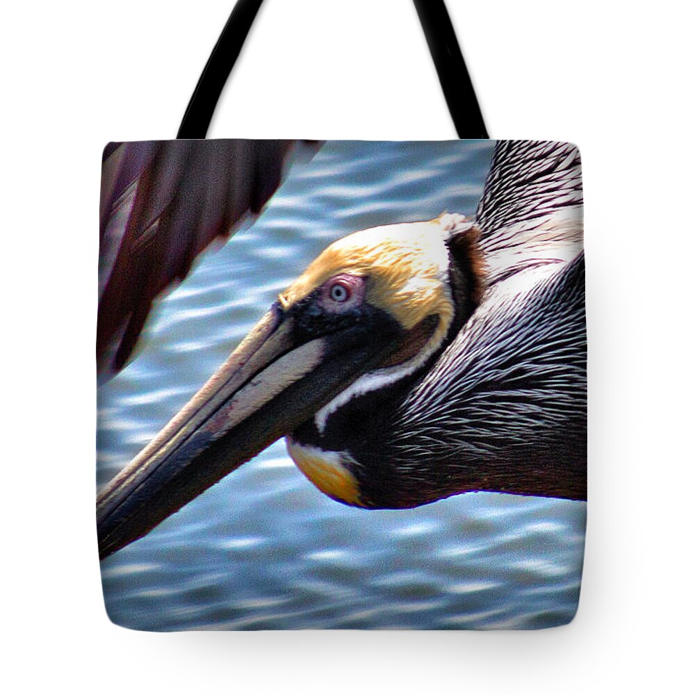 Pelican Photographs Tote Bag featuring the photograph Flying Low 2 by Phil Mancuso