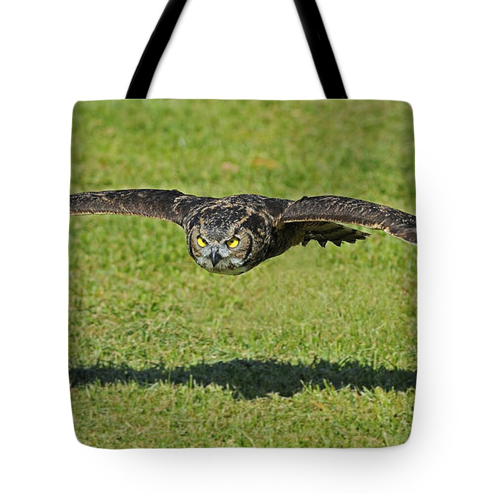 Parc Omega Tote Bag featuring the photograph Flying Tiger... by Nina Stavlund