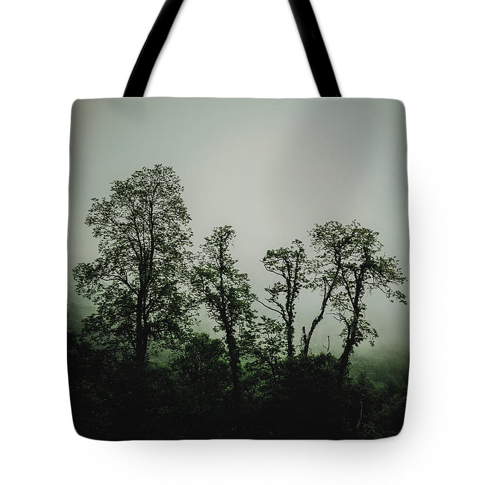 Blue Ridge Parkway Tote Bag featuring the photograph Foggy Mountain Morning at the Meadows of Dan by John Haldane