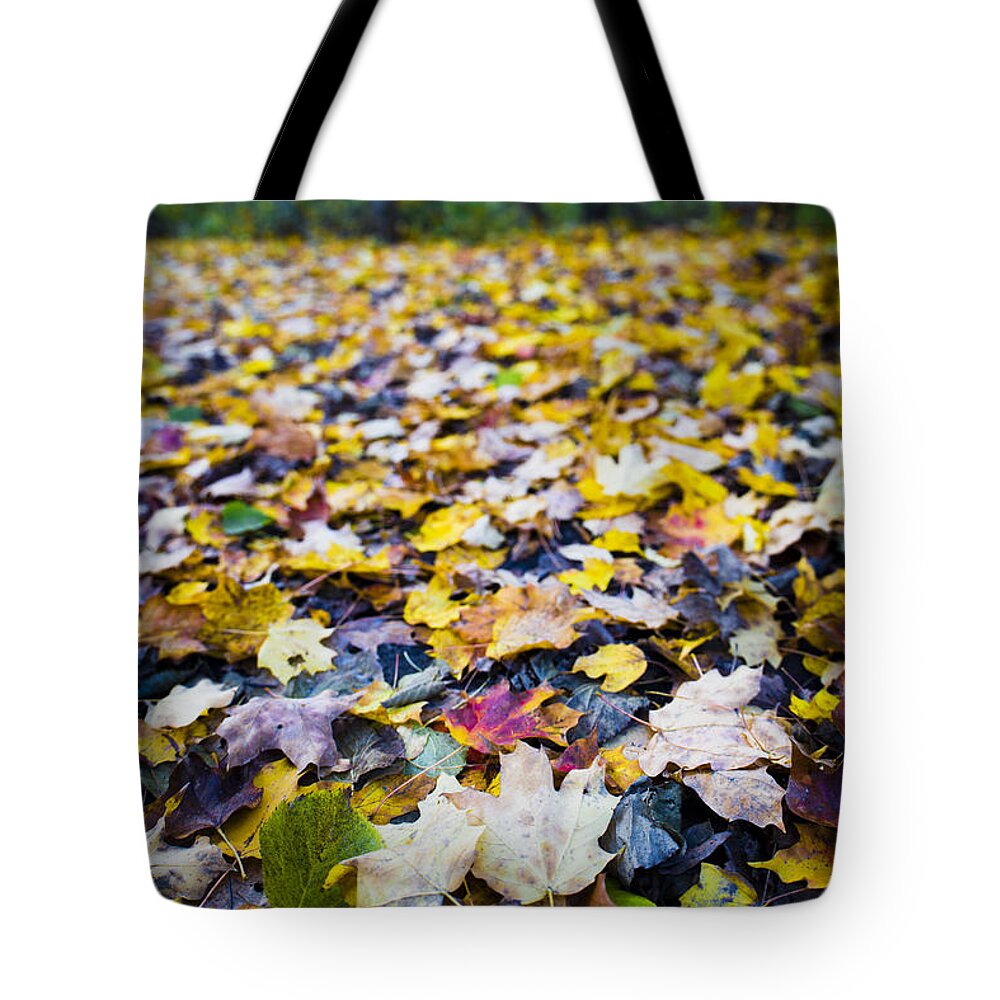 Fall Tote Bag featuring the photograph Foliage by Sebastian Musial