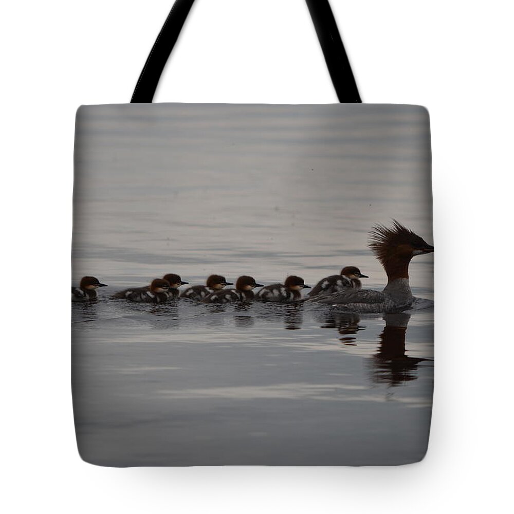 Nature Tote Bag featuring the photograph Following Mom by James Petersen