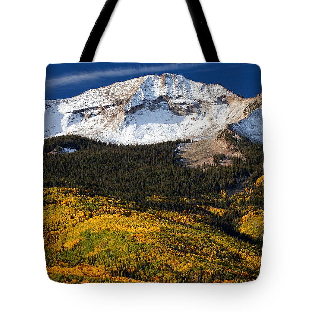 Colorado Landscapes Tote Bag featuring the photograph Foothills of Gold by Darren White