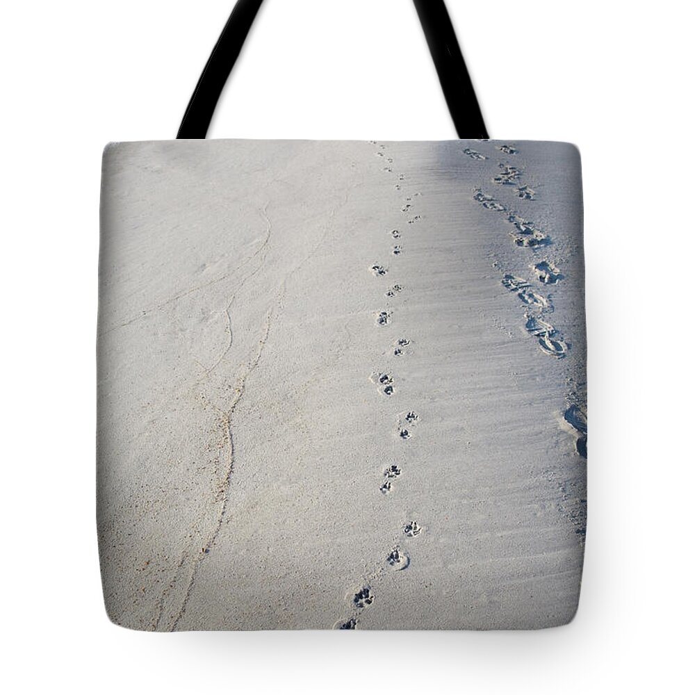 Footprint Tote Bag featuring the photograph Footprints and Pawprints by Diane Macdonald