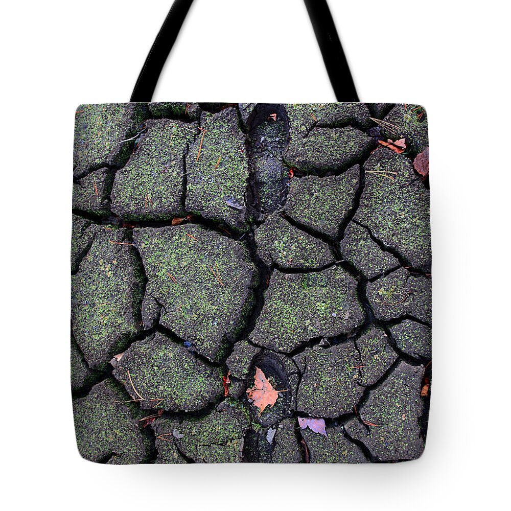 Nature Tote Bag featuring the photograph Footsteps on the Lake by Jennifer Robin
