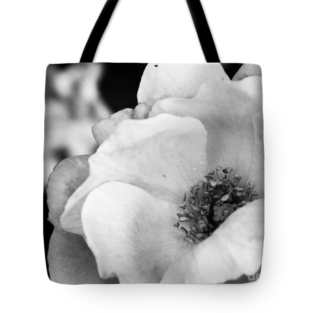 Nature Tote Bag featuring the photograph For you with Love by Andrea Anderegg