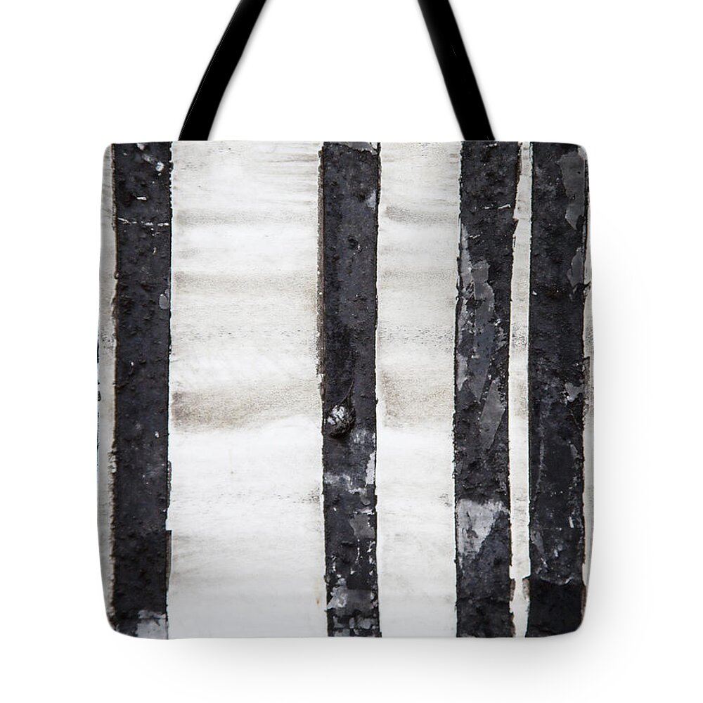 Forest Tote Bag featuring the photograph Forest for the Trees by Carol Leigh