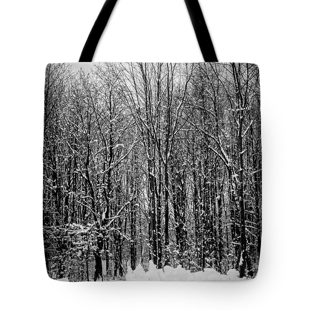 Snow Tote Bag featuring the photograph Forest of Snow by Sara Frank