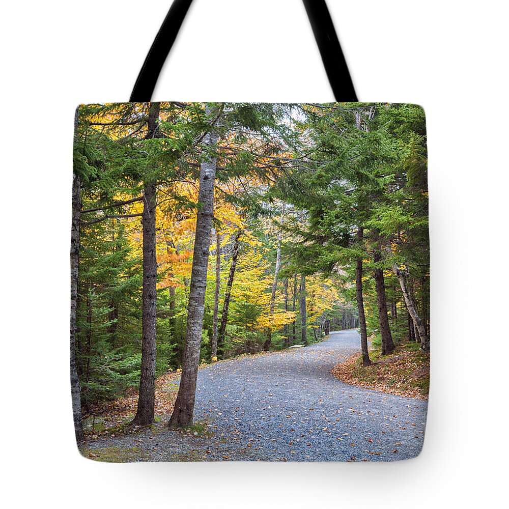 Autumn Tote Bag featuring the photograph Forest path Autumn Acadia National Park by Ken Brown