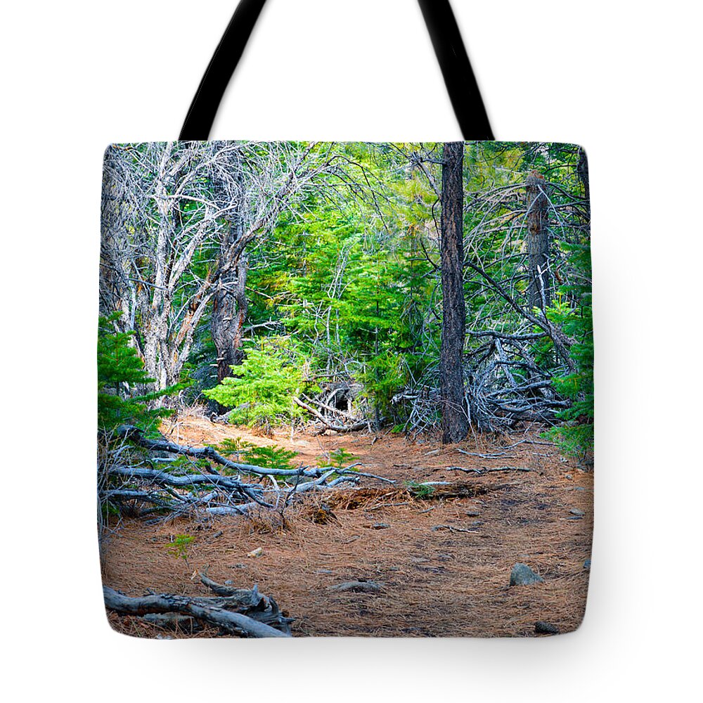 Nevada Tote Bag featuring the photograph Forest Path by Brent Dolliver
