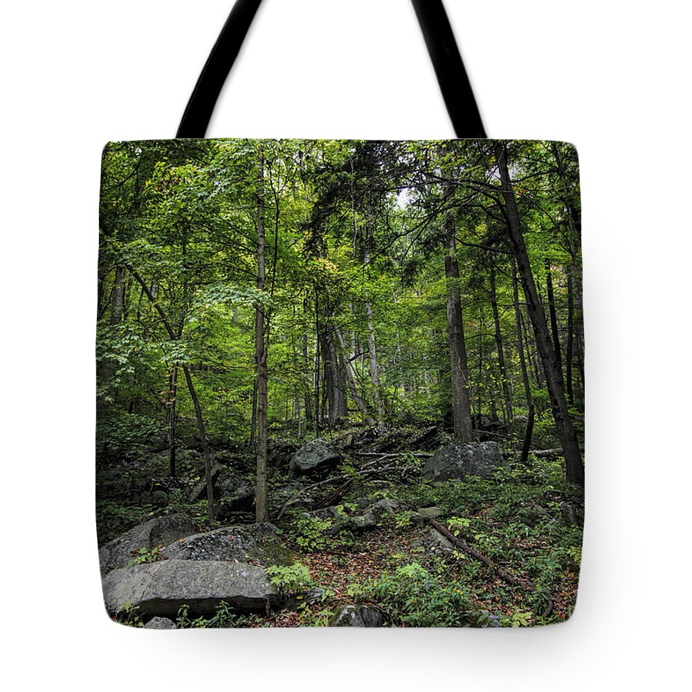 Great Smokey Mountains National Park Tote Bag featuring the photograph Forest Peace and Tranquility by Kathy Clark