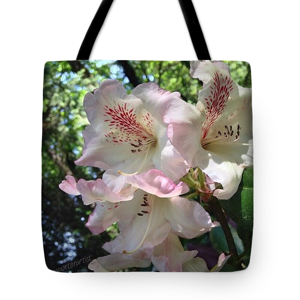 Annasgardens Tote Bag featuring the photograph Forest Rhododendrons I, #annasgardens by Anna Porter