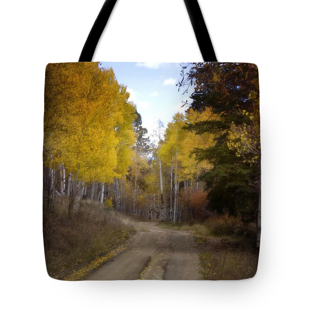 Fall Tote Bag featuring the photograph Forest Road in Autumn by Ellen Heaverlo