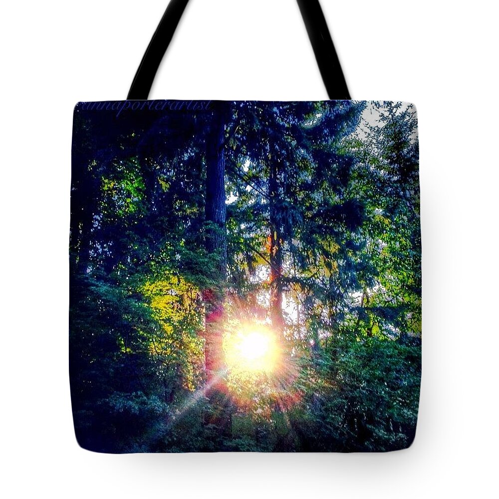 Forest Tote Bag featuring the photograph Forest Sunset in my Neighborhood by Anna Porter