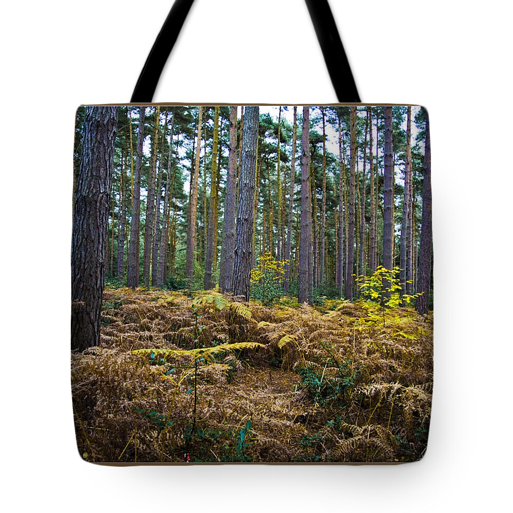 Forest Tote Bag featuring the photograph Forest Trees by Maj Seda