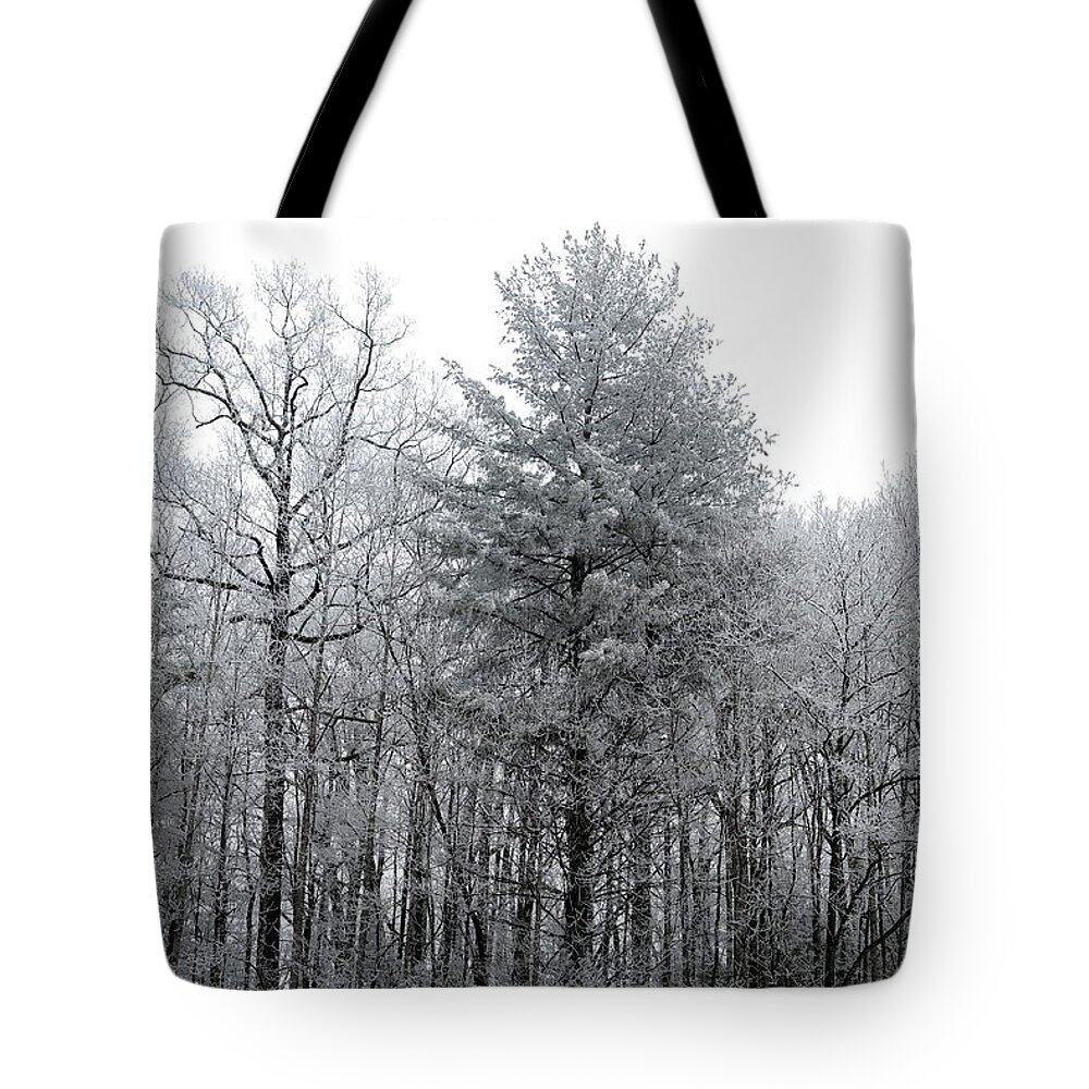 Landscape Tote Bag featuring the photograph Forest With Freezing Fog by Daniel Reed