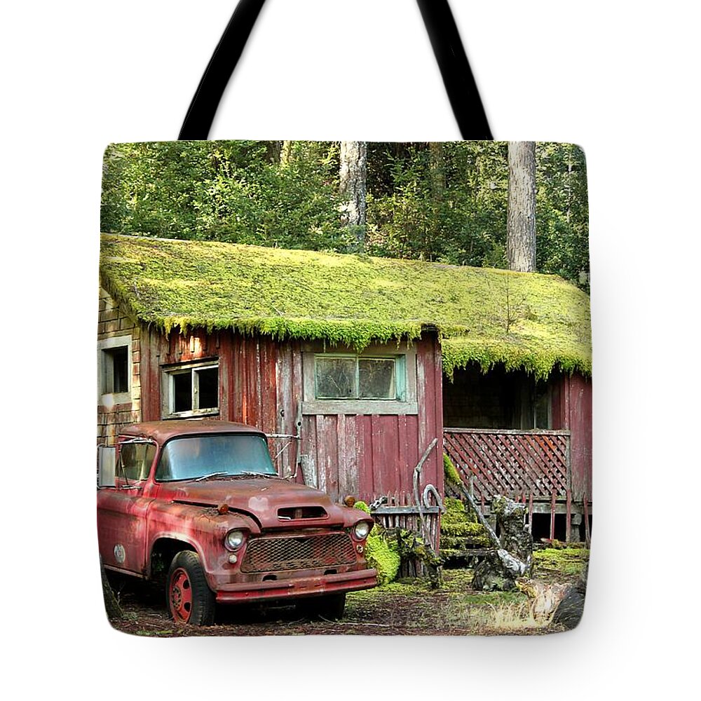 Abandoned House Tote Bag featuring the photograph Forgotten by Leigh Meredith
