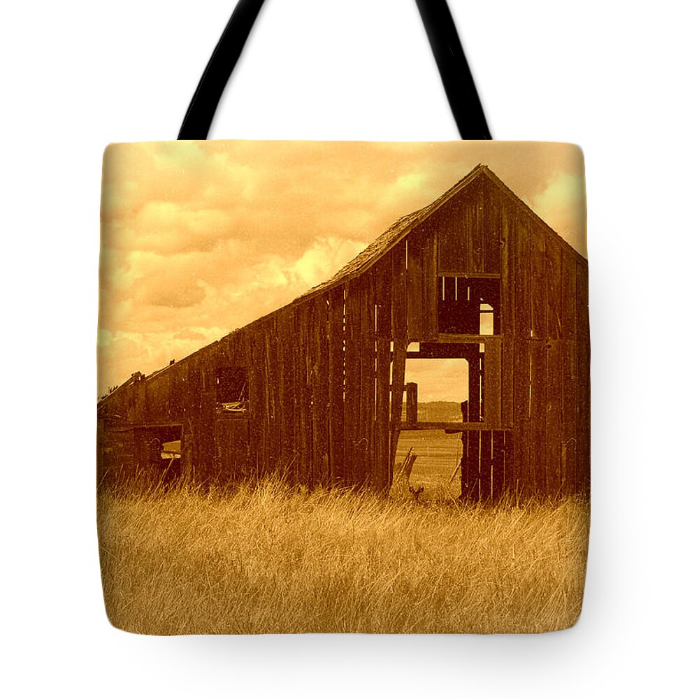 Oregon Tote Bag featuring the photograph Forgotten by Terry Holliday