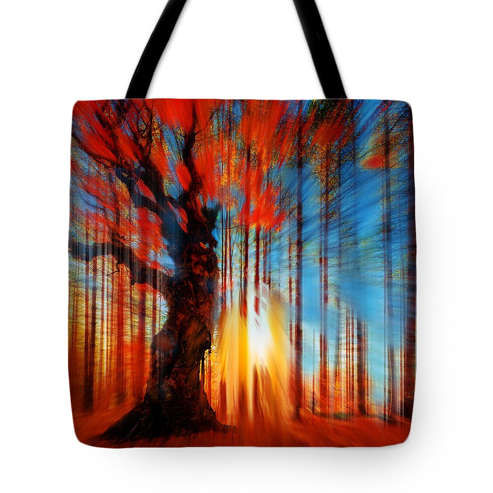 Color Tote Bag featuring the painting Forrest And Light by Tony Rubino