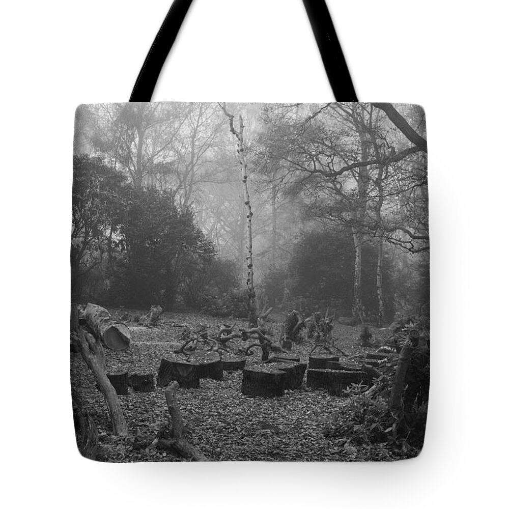 Trees Tote Bag featuring the photograph Forset Trees by Maj Seda